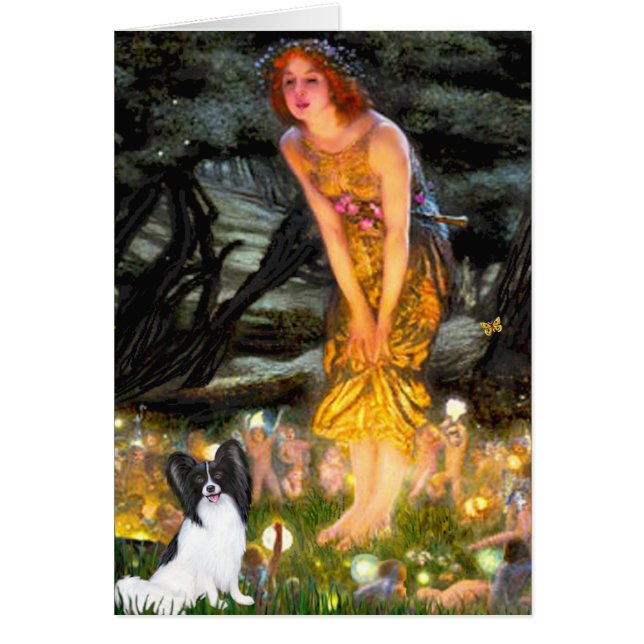 MidEve - Papillon 1 (Front)