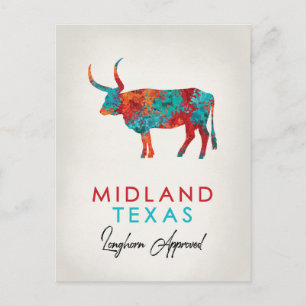 Midland Texas Colourful Longhorn Postcard