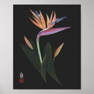 Midnight Bird of Paradise Art Poster