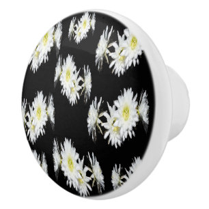 Midnight Blossoms: White Cactus Flowers On Black Ceramic Knob