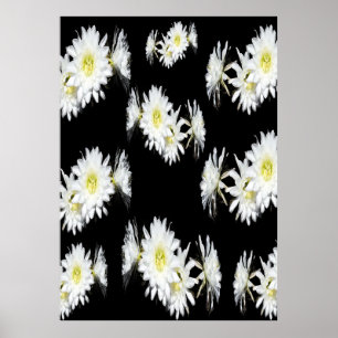 Midnight Blossoms: White Cactus Flowers On Black Poster
