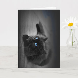 Midnight Blue Eyes Cat Art Greeting Card
