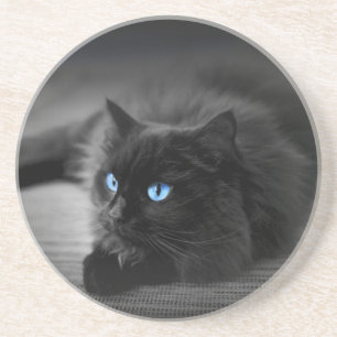 Midnight Blue Eyes - Round Stone Coaster