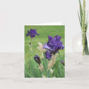 Midnight Blue Iris Small Note Card