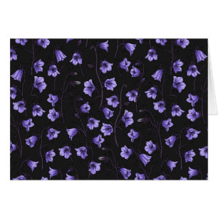 Midnight Bluebells, Harebells, Bellflowers