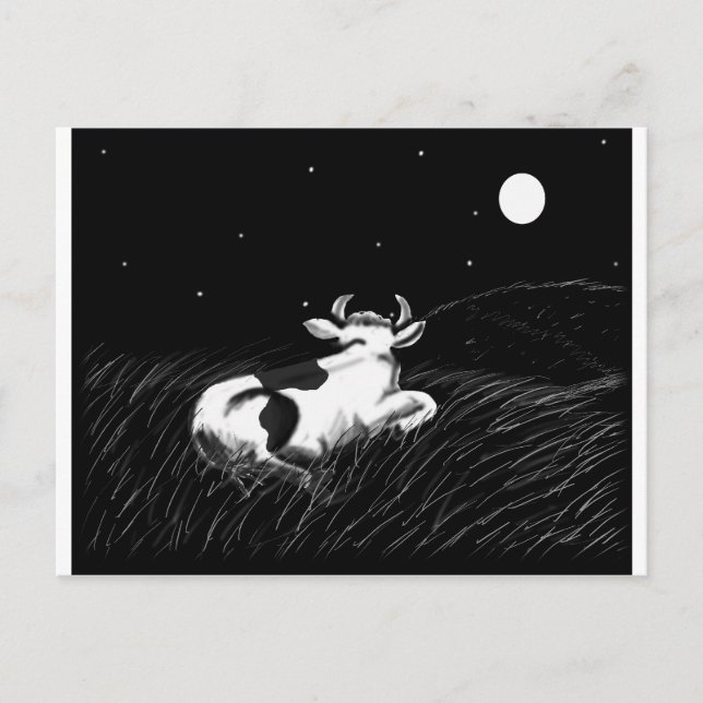 Midnight Cow Postcard (Front)