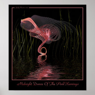 Midnight Dance Of The Pink Flamingo Poster