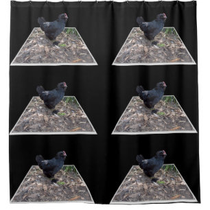 "Midnight Feathers: A Black Chicken in Popout Art" Shower Curtain