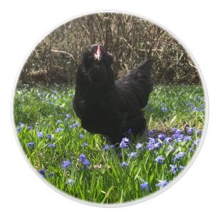 Midnight flowers knob pull chicken hen tail right