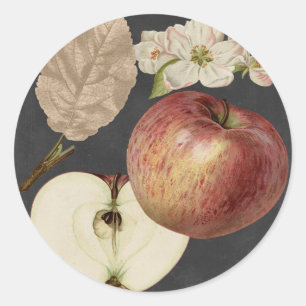 Midnight Harvest II Classic Round Sticker