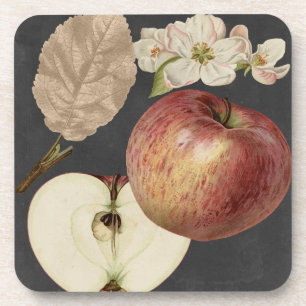 Midnight Harvest II Coaster