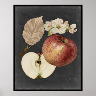 Midnight Harvest II Poster