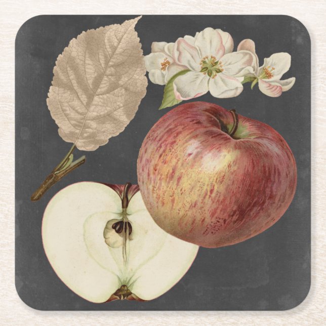 Midnight Harvest II Square Paper Coaster (Front)