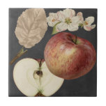 Midnight Harvest II Tile<br><div class="desc">Floral</div>