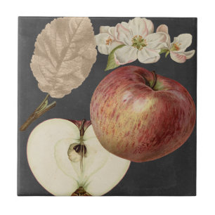 Midnight Harvest II Tile