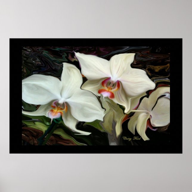 MIDNIGHT MAGIC ORCHID PRINT (Front)