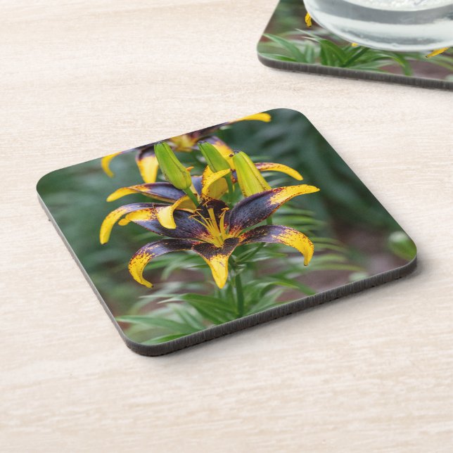 Midnight Majesty: Black Hybrid Asiatic Lily, Photo Coaster (Left Side)