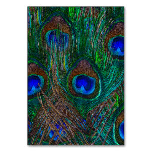 Midnight Peacock Feathers Etching Style Decor Table Number