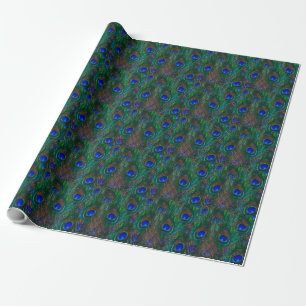 Midnight Peacock Feathers Etching Style Decor Wrapping Paper