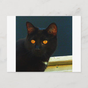 Midnight Postcard