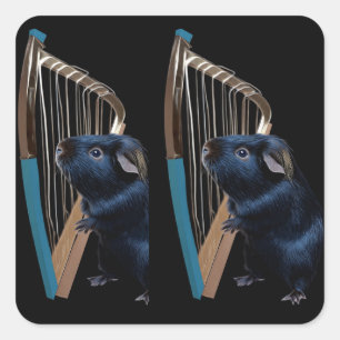 Midnight Serenade of the Abyssinian Square Sticker