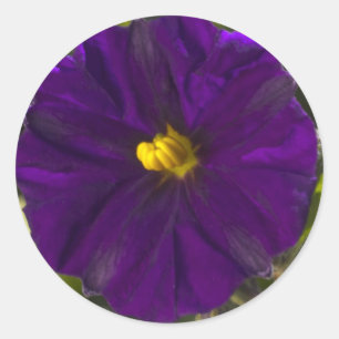 Midnight Shade Classic Round Sticker