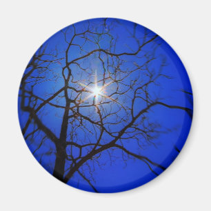 Midnight Sun Magnet