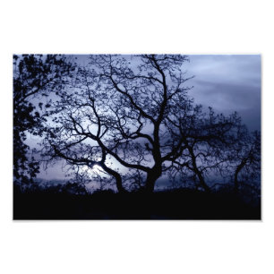 Midnight Sunset Photo Print