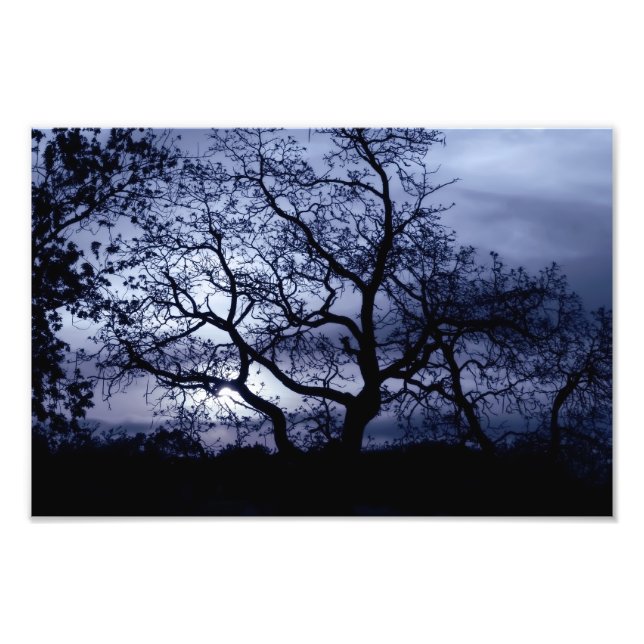 Midnight Sunset Photo Print (Front)