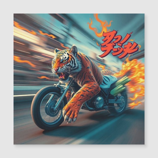Midnight Tiger Rider (Front)