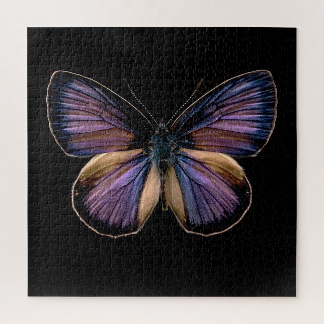 Midnight Wings Jigsaw Puzzle (Vertical)