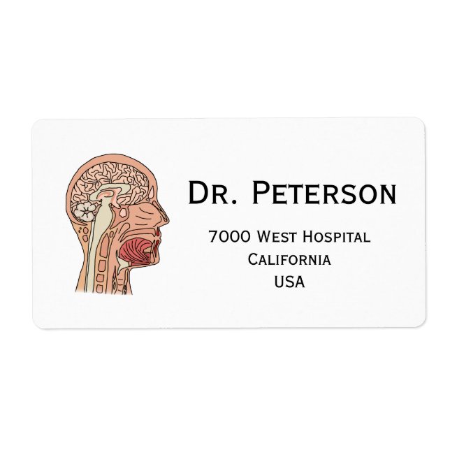 Midsagittal Brain Cross Section (Front)
