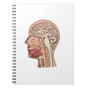 Midsagittal Brain Cross Section Notebook