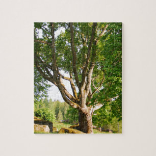 Midsummer Light Småland Jigsaw Puzzle