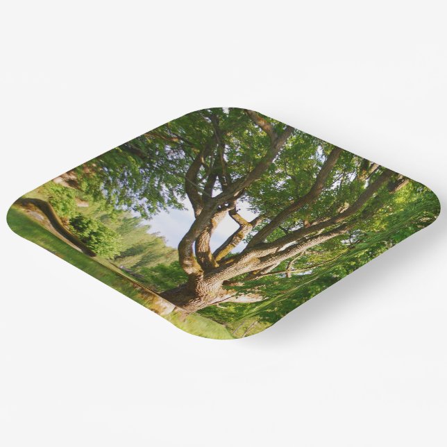 Midsummer Light Småland  Paper Plate (Angled)