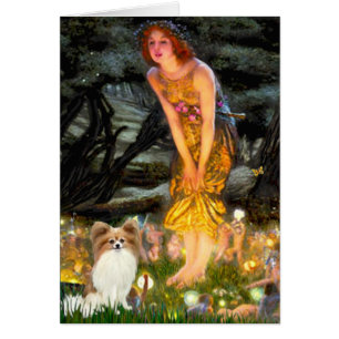 Midsummers Eve - Papillon 4