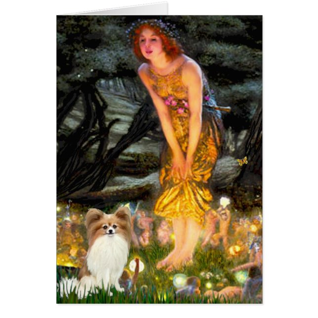 Midsummers Eve - Papillon 4 (Front)