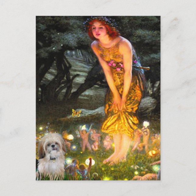 Midsummers Eve - Shih Tzu (P) Postcard (Front)