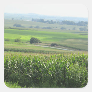 Midwest Amish Farm Scenic View Sticker