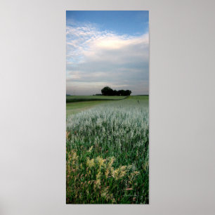 Midwest Farmland Wheat Field Poster