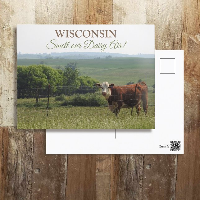 Midwest Photography | Beautiful Cow and Scenery Postcard (Creator Uploaded)