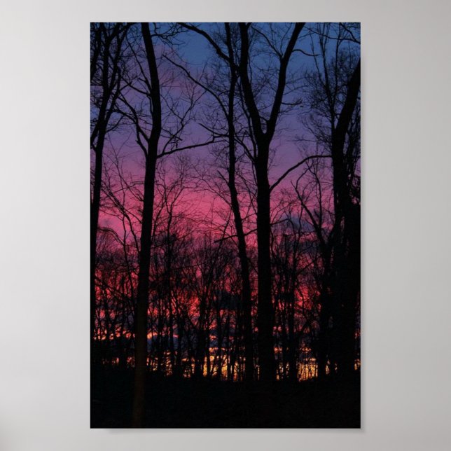 Midwest Sunset Through the Trees Poster (Front)