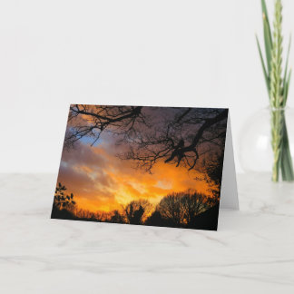 Midwinter Sunset - Greeting Card