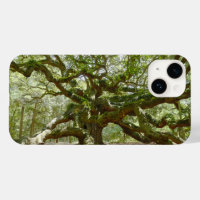 Mighty Angel Oak