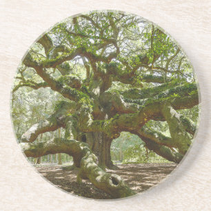 Mighty Angel Oak Coaster