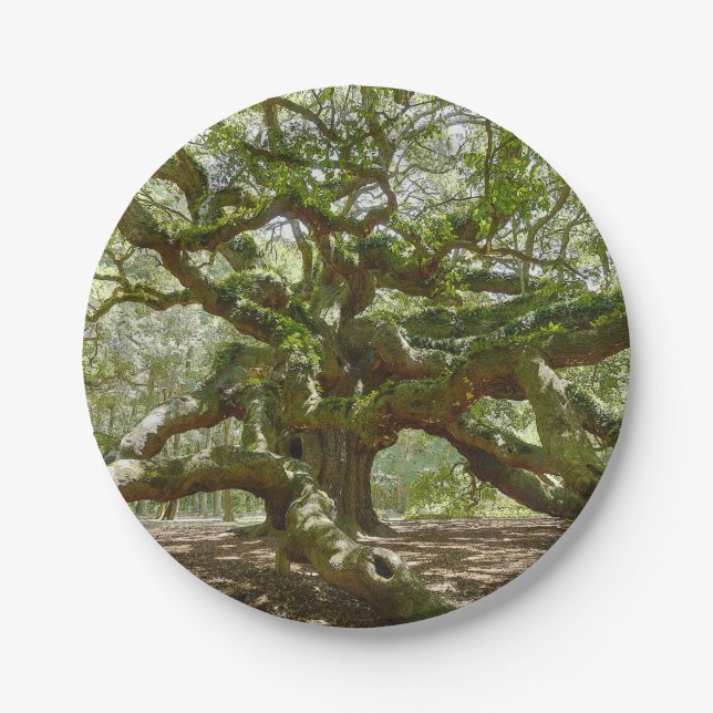 Mighty Angel Oak Paper Plate (Front)