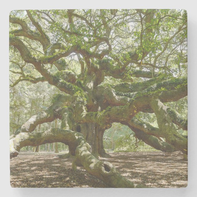 Mighty Angel Oak Stone Coaster (Front)