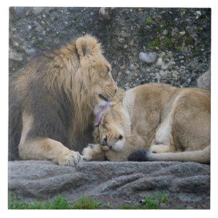 Mighty Lion Love Ceramic Tile