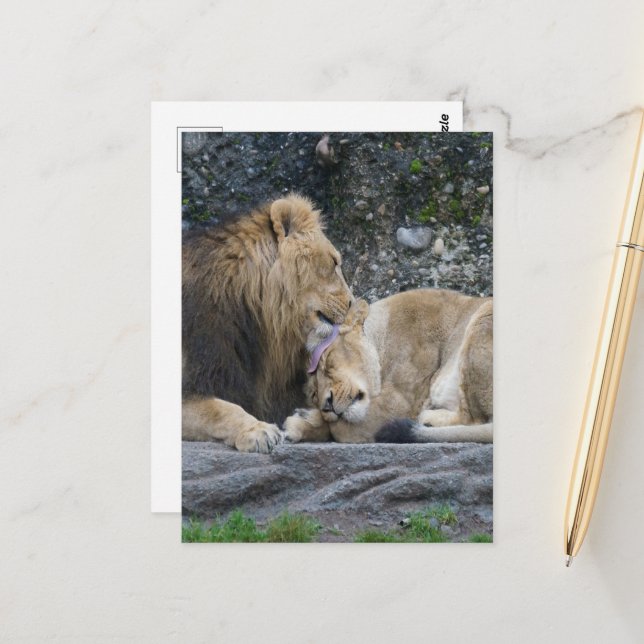 Mighty Lion Love Postcard (Front/Back In Situ)