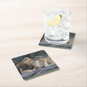Mighty Lion Love Square Paper Coaster